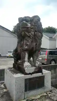 徳守神社の狛犬