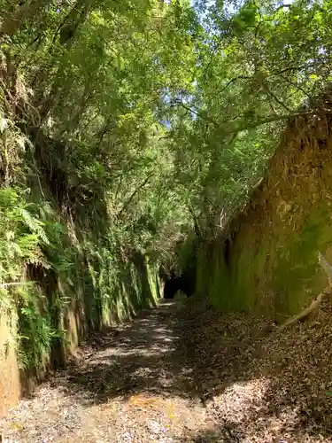 熊野神社の自然