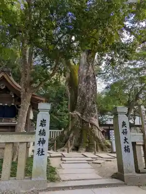 伊弉諾神宮(兵庫県)