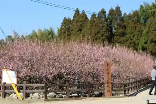 普光寺の庭園