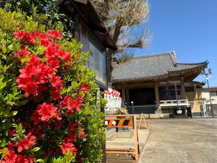 福王山 慈眼寺(東京都)