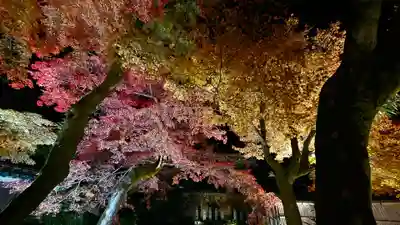 宝厳院(京都府)