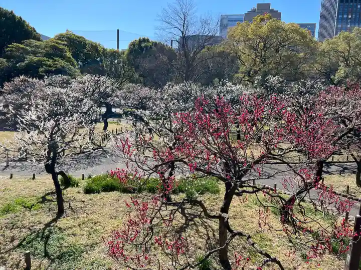 芝東照宮の自然