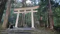飛瀧神社(熊野那智大社別宮)の鳥居