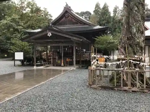 井伊谷宮の本殿・本堂