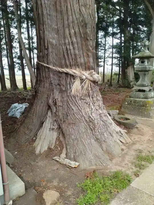 磯良神社(宮城県)