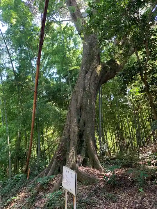 諏訪神社(千葉県)