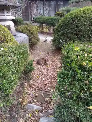 常照院(曼陀羅寺塔頭)(愛知県)