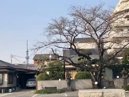 浄心寺のその他建物