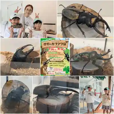 金蛇水神社(宮城県)