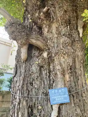 稲荷神社(神奈川県)