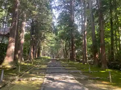 平泉寺白山神社(福井県)