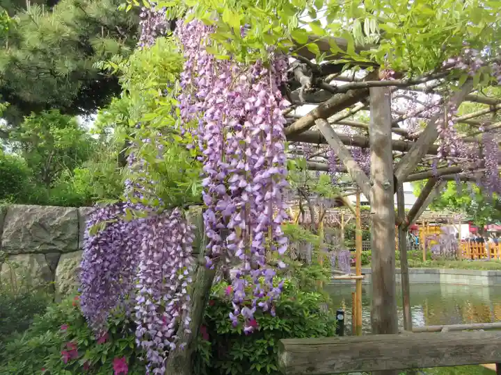 亀戸天神社の庭園