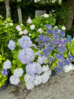 源九郎稲荷神社(奈良県)