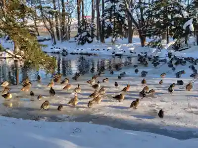 永山神社(北海道)