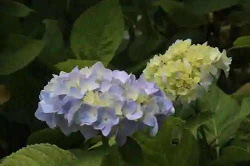 国宝 大法寺の自然