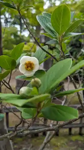 真正極楽寺（真如堂）(京都府)