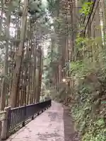 武蔵御嶽神社の周辺
