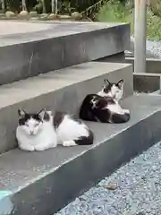 屋久島大社の動物