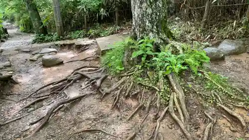 筑波山神社の自然