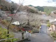 南法華寺（壷阪寺）(奈良県)