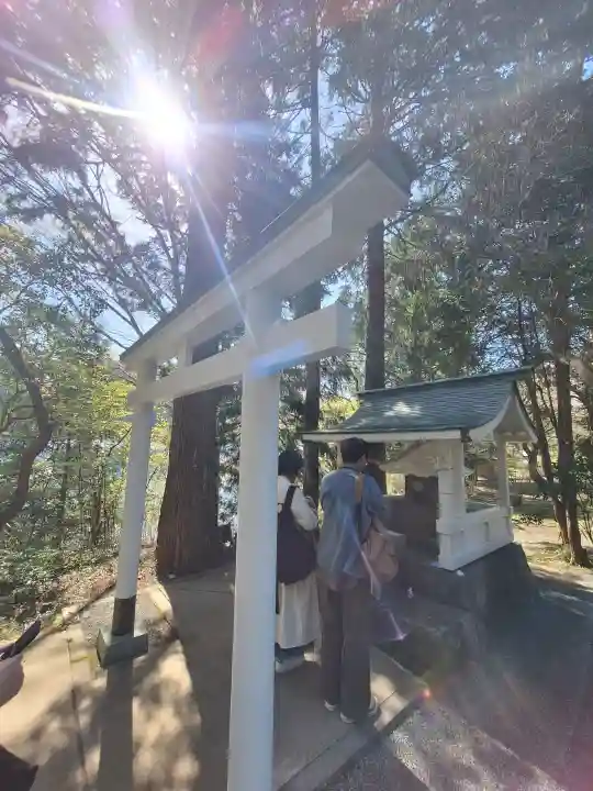 白龍神社の{uncategorized: "未分類", other: "その他", undefined: "問題あり", building: "その他建物", grave: "お墓", sacred_gate: "鳥居", guardian: "狛犬", statue: "像", buddha: "仏像", history: "歴史", nature: "自然", garden: "庭園", animal: "動物", pagoda: "塔", temizu: "手水舎", mountain_gate: "山門・神門", sanctuary: "本殿・本堂", subordinate: "末社・摂社", art: "芸術", scenery: "景色", jizo: "地蔵", ema: "絵馬", goshuin: "御朱印", omikuji: "おみくじ", items: "授与品その他", amulet: "お守り", goshuincho: "御朱印帳", eats: "食事", festival: "お祭り", votive_dance: "神楽", shichigosan: "七五三参", wedding: "結婚式", experience: "体験その他", initially: "初詣", around: "周辺", anti_infection: "感染症対策"}