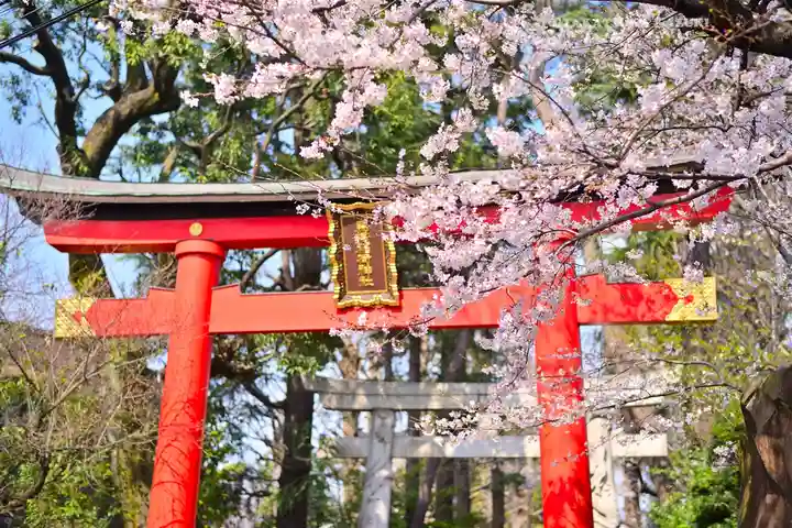 馬橋稲荷神社(東京都)