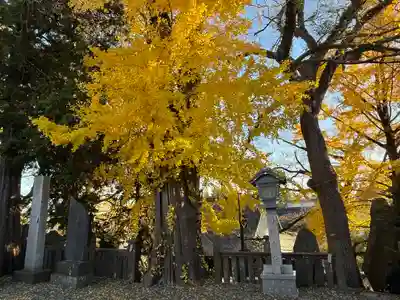 成田山新勝寺(千葉県)