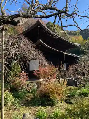 瑞泉寺の本殿・本堂