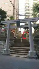 妻戀神社の鳥居