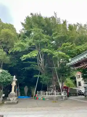 海南神社(神奈川県)