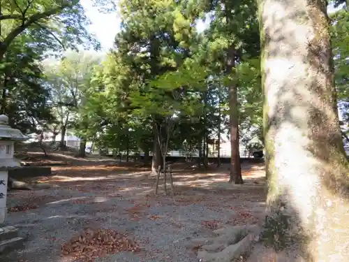 諏訪神社の建物その他