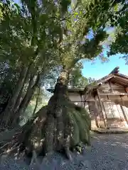 伊雜宮（皇大神宮別宮）(三重県)