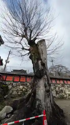 大将軍神社(滋賀県)