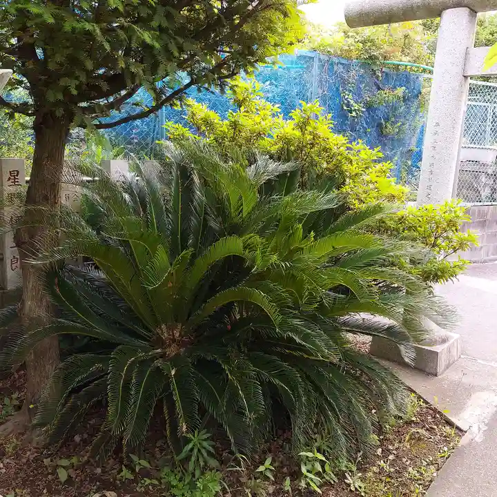 青龍神社(東京都)