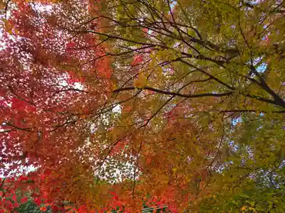 大威徳寺(大阪府)