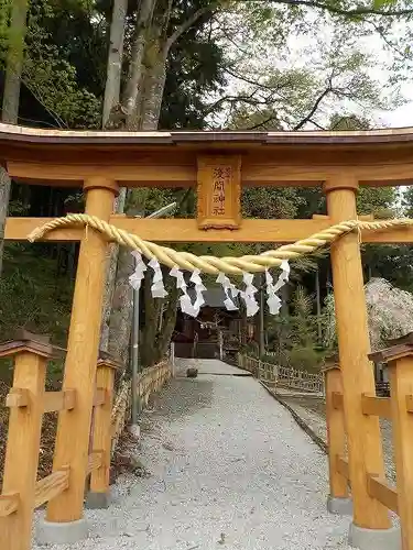 浅間神社の鳥居