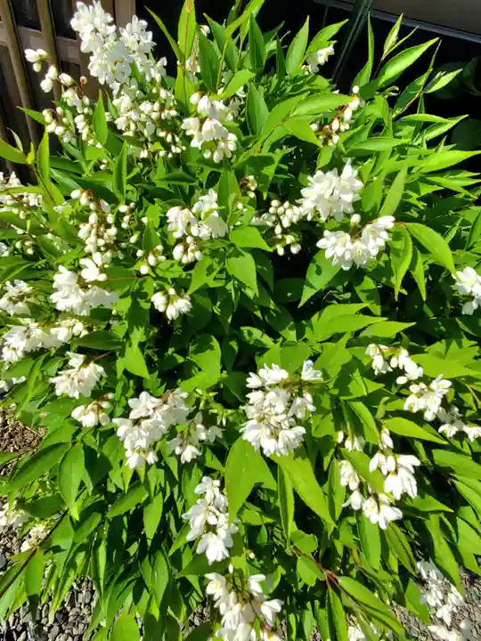 豊景神社(福島県)