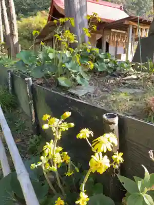 思金神社のその他建物