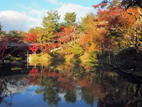 高台寺（高台寿聖禅寺・高臺寺）の庭園