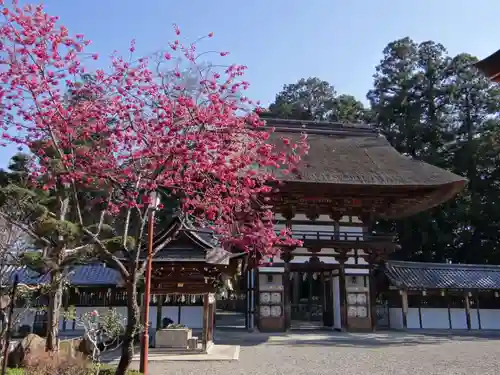 沙沙貴神社(滋賀県)