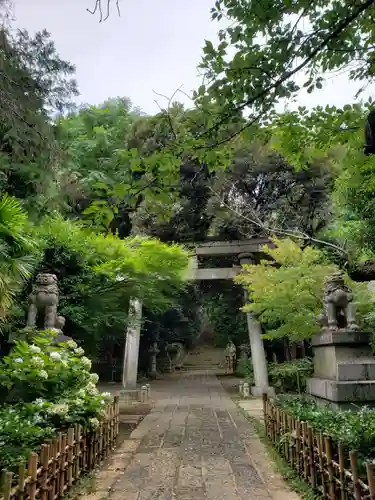 赤坂氷川神社の鳥居