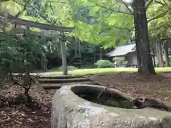 天鷺神社の自然