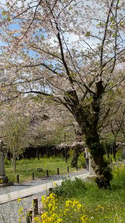 平野神社(京都府)