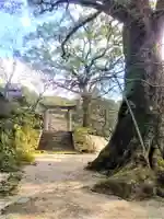 仁比山神社(佐賀県)