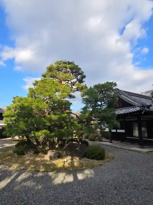 得浄明院(善光寺別院)(京都府)