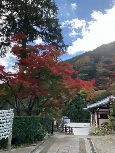 善峯寺(京都府)
