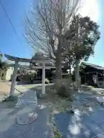 春日神社(飯)の{uncategorized: "未分類", other: "その他", undefined: "問題あり", building: "その他建物", grave: "お墓", sacred_gate: "鳥居", guardian: "狛犬", statue: "像", buddha: "仏像", history: "歴史", nature: "自然", garden: "庭園", animal: "動物", pagoda: "塔", temizu: "手水舎", mountain_gate: "山門・神門", sanctuary: "本殿・本堂", subordinate: "末社・摂社", art: "芸術", scenery: "景色", jizo: "地蔵", ema: "絵馬", goshuin: "御朱印", omikuji: "おみくじ", items: "授与品その他", amulet: "お守り", goshuincho: "御朱印帳", eats: "食事", festival: "お祭り", votive_dance: "神楽", shichigosan: "七五三参", wedding: "結婚式", experience: "体験その他", initially: "初詣", around: "周辺", anti_infection: "感染症対策"}