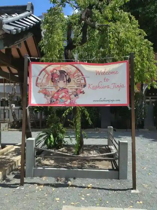 柏神社(千葉県)