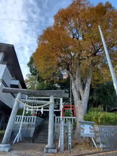 日吉神社の鳥居